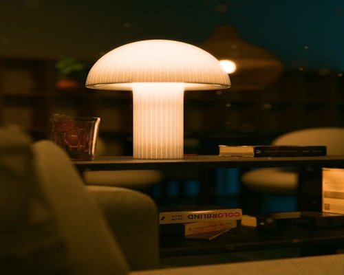 Cozy indoor reading space illuminated by warm evening lamps and natural twilight